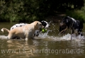 11 Wasseraction